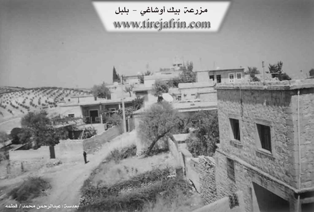 Photo of Bîbaka